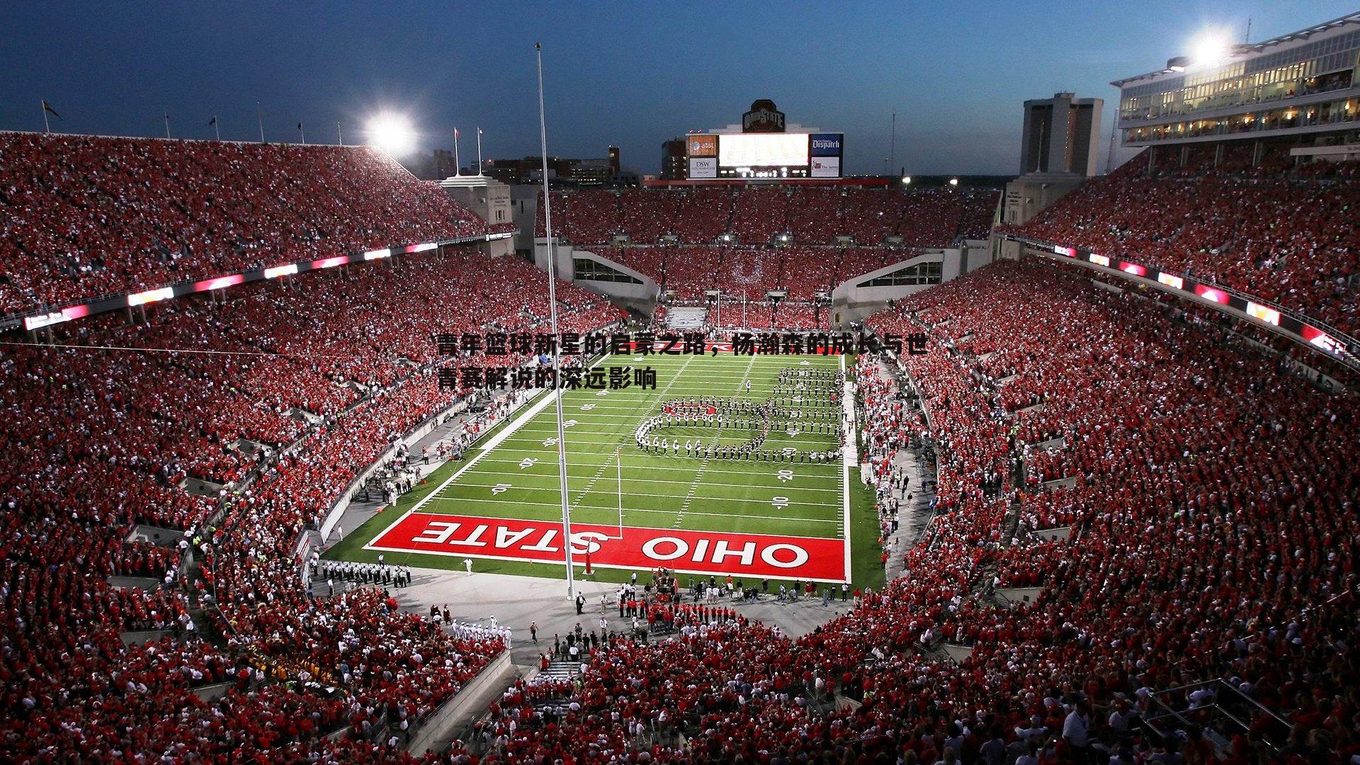 青年篮球新星的启蒙之路,杨瀚森的成长与世青赛解说的深远影响