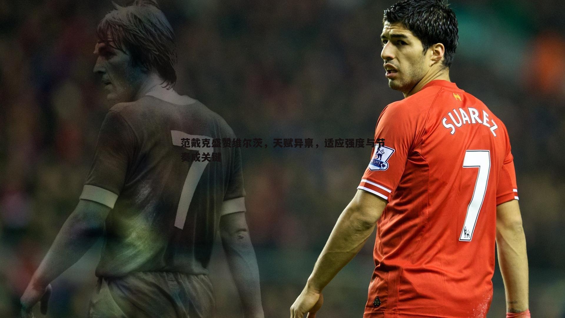 范戴克盛赞维尔茨,天赋异禀,适应强度与节奏成关键